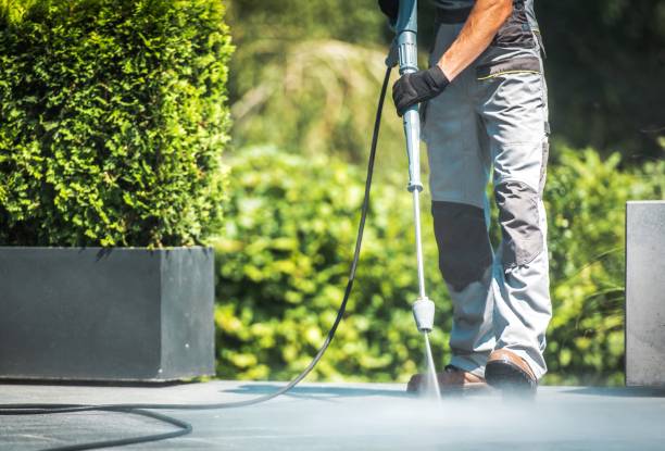 Best Roof Washing  in Neptune Beach, FL